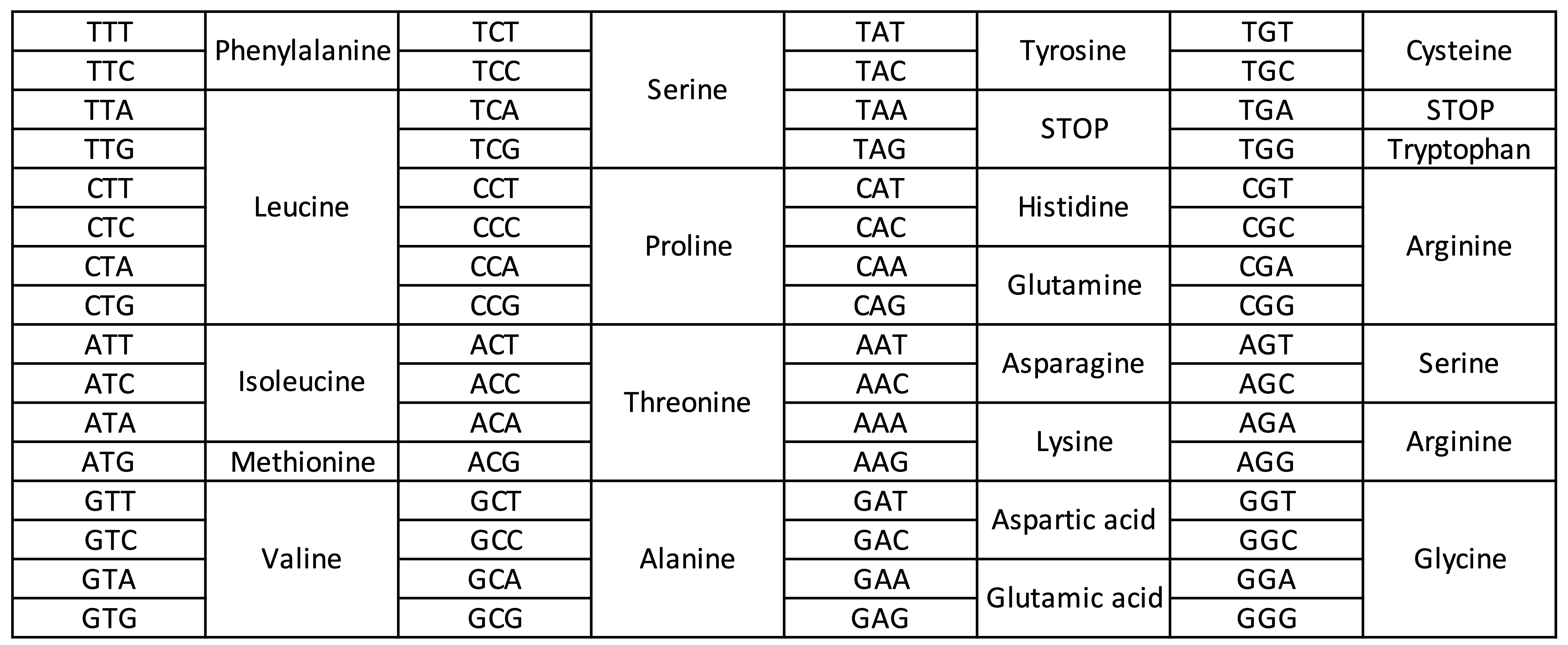 A compelling theory on the evolution of the standard genetic code